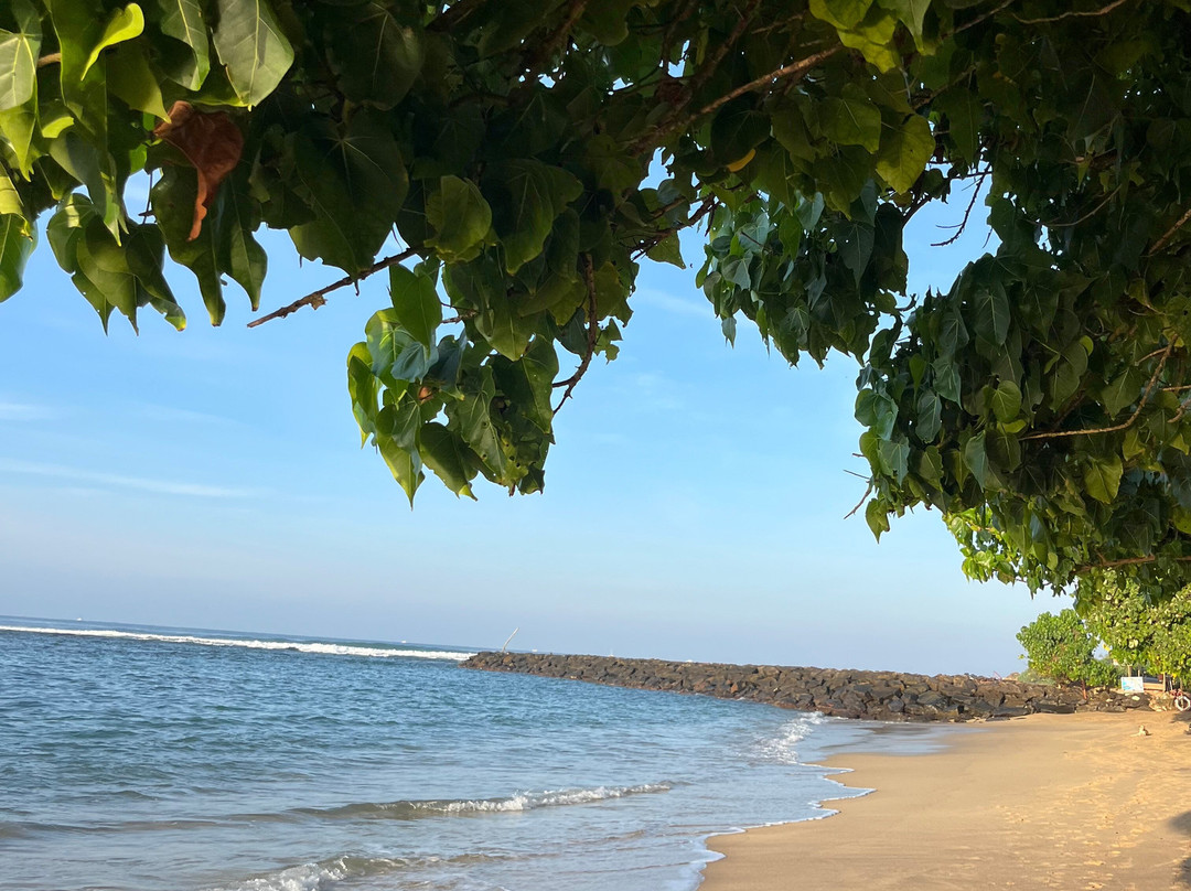 Nana's Lanka Tours & Travels-尼甘布必去景点