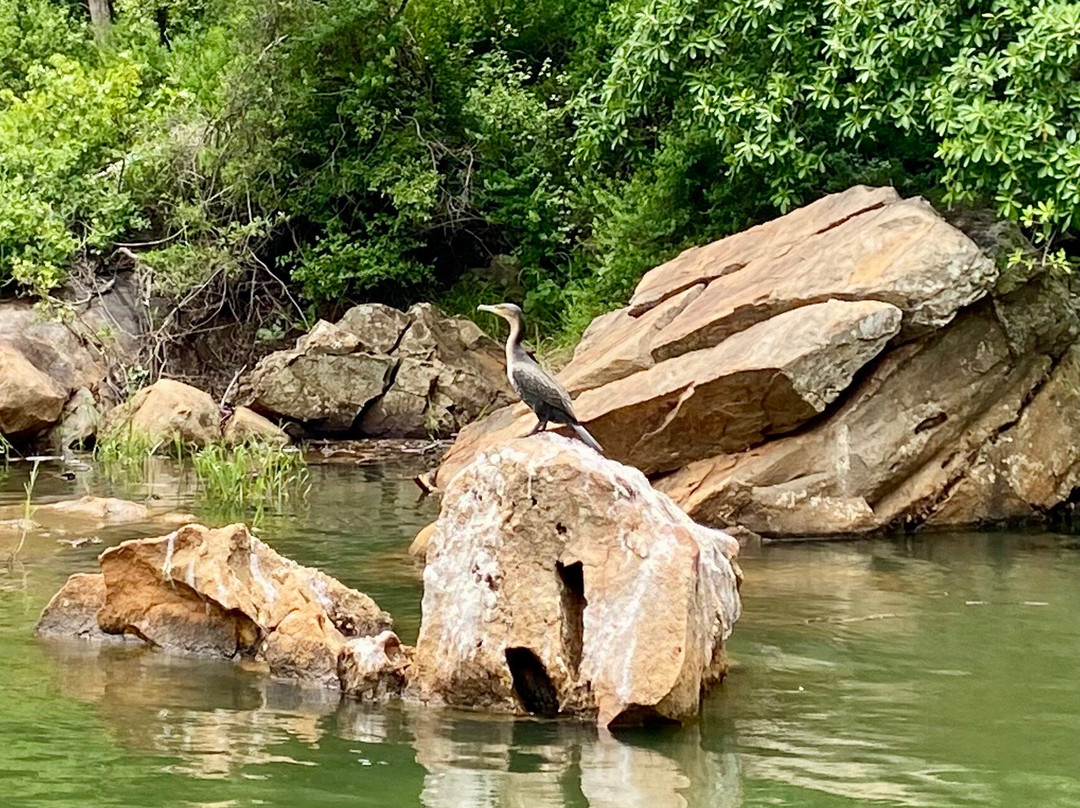 Blyde River Canyon-德尔斯特鲁姆必去景点