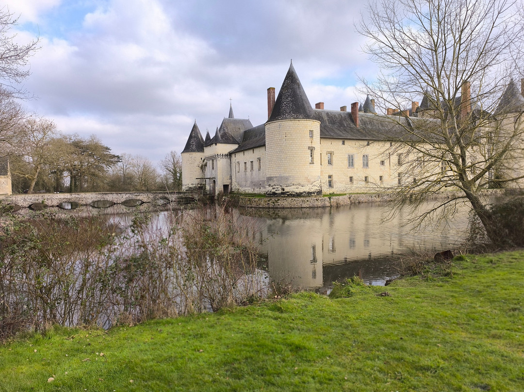 Chateau du Plessis-Bourré景点图片