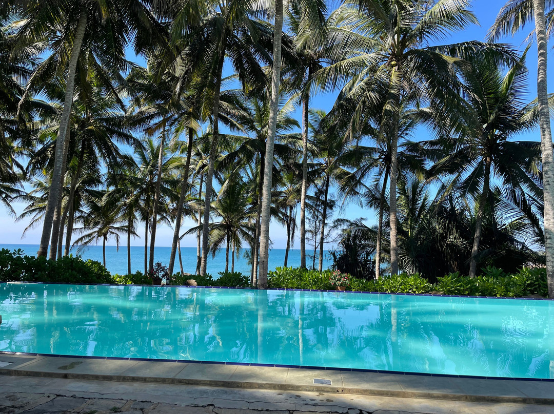 海龟湾大酒店主图