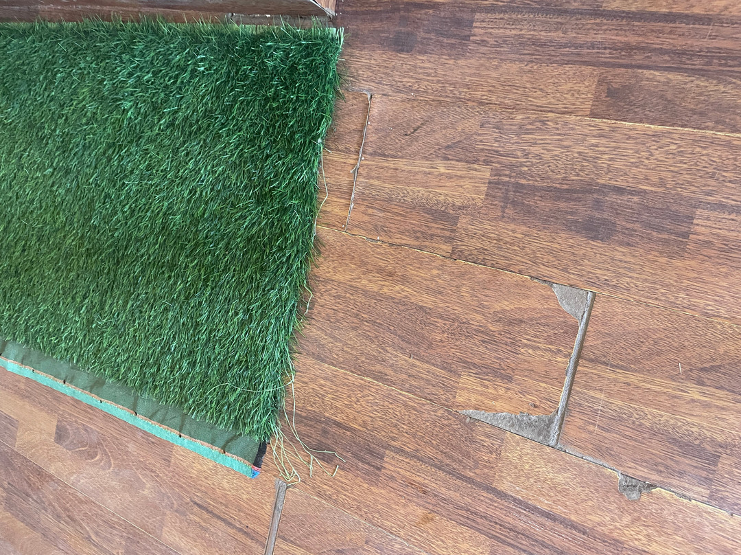 Amritara Chandra Mahal Haveli主图