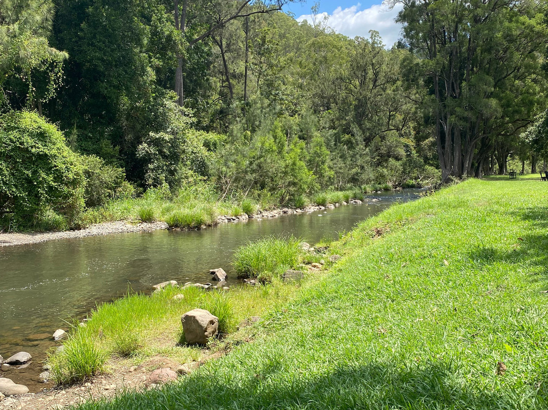 O’Reilly’s Canungra Valley Vineyards-卡伦格拉必去景点