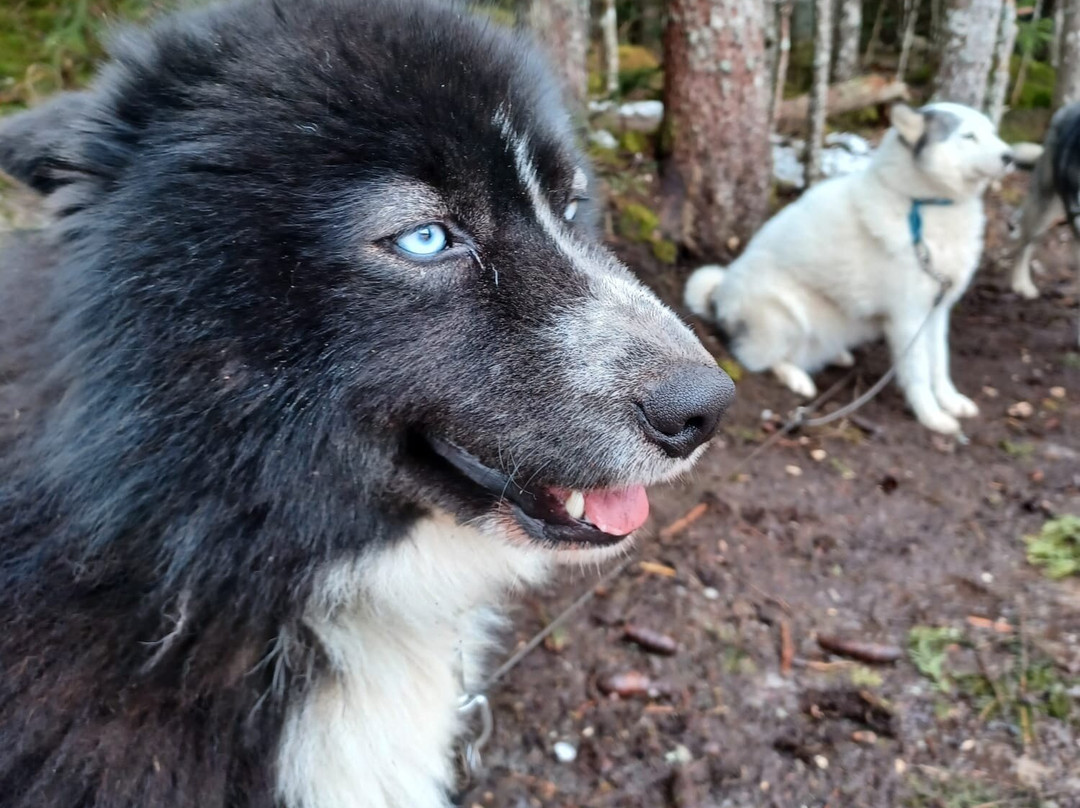 Les Extrapattes-Le Poet-Celard必去景点