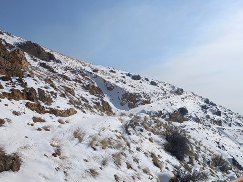 Termeh Travel-Isfahan必去景点