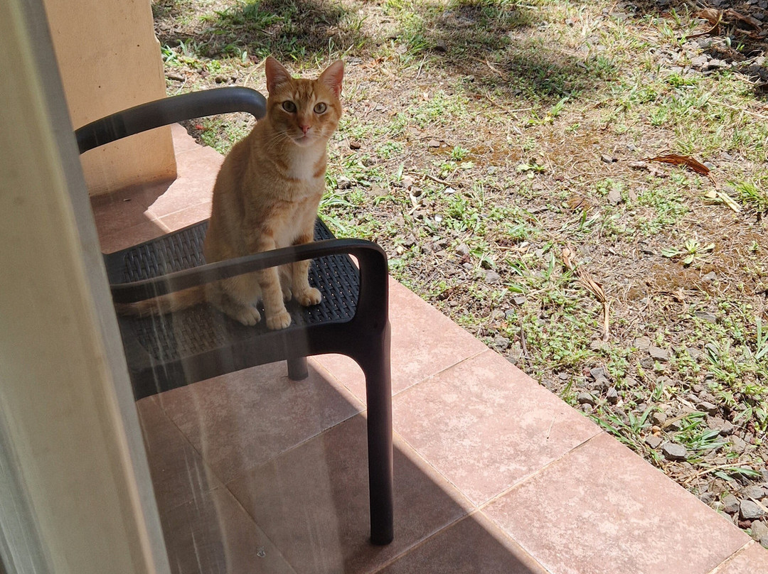 Easter Island Eco Lodge主图