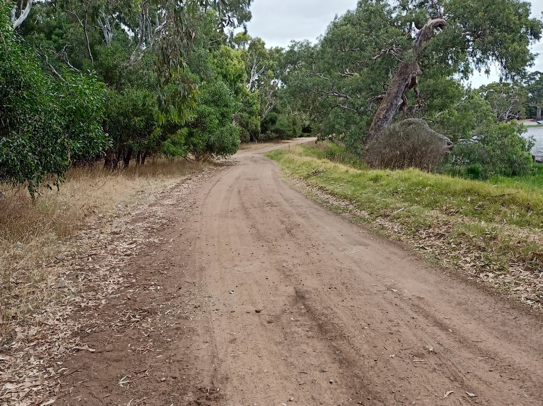 Cockatoo Lake Recreation Reserve-Naracoorte必去景点