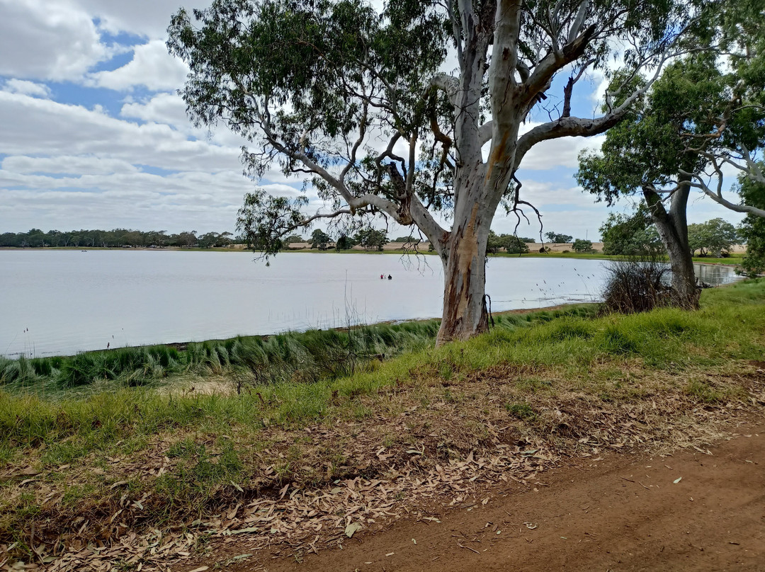 Cockatoo Lake Recreation Reserve
