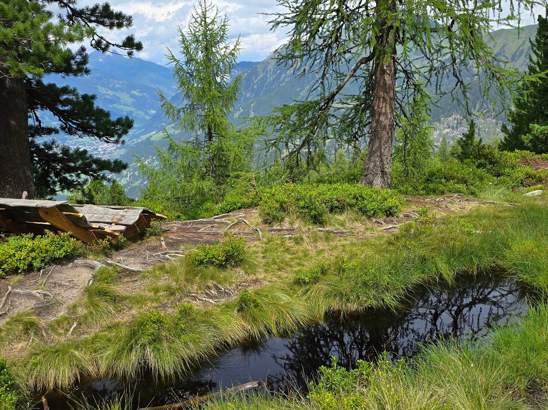 Graukogel Zirbenweg-泉卡斯汀必去景点