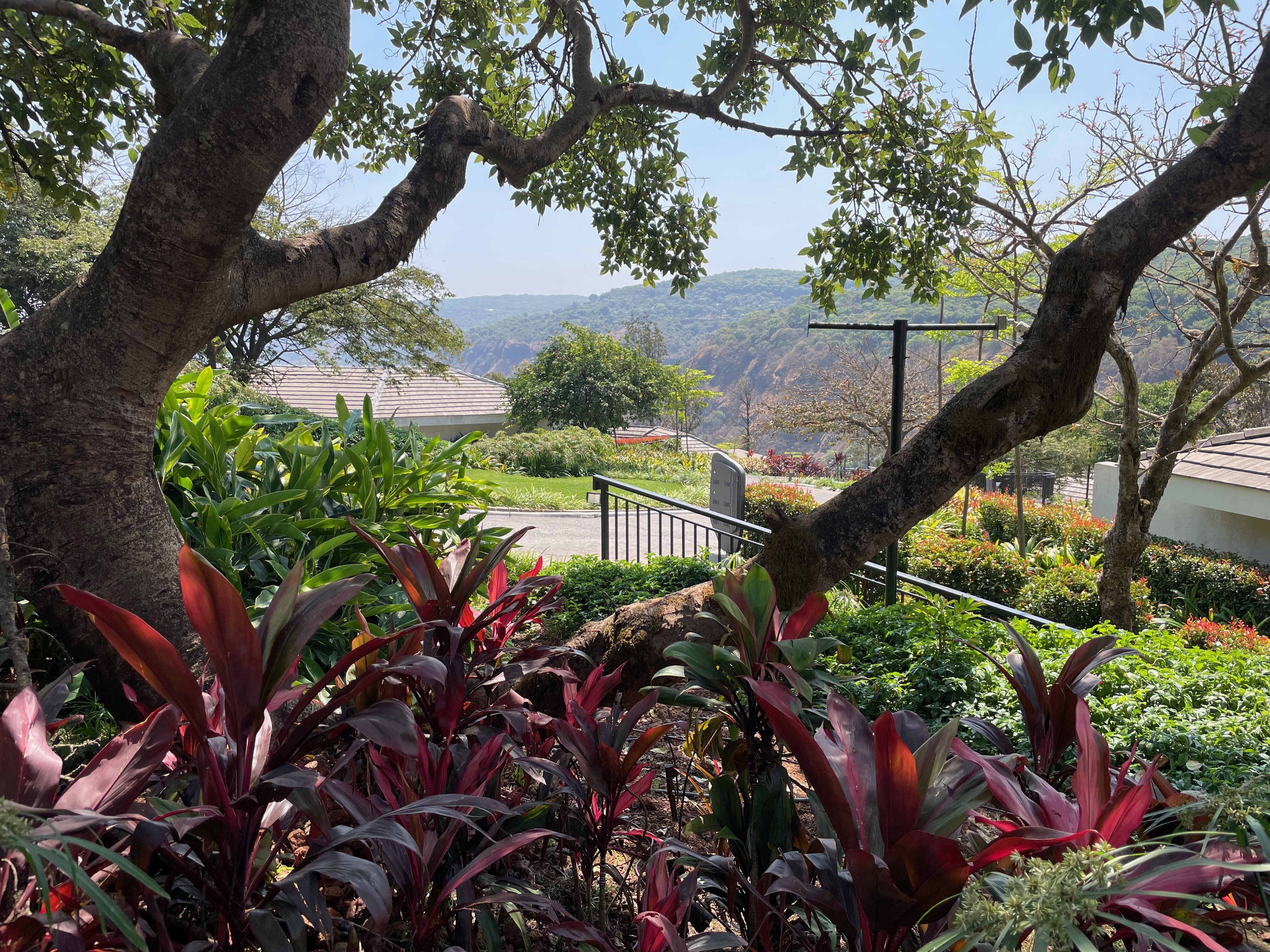 Courtyard Mahabaleshwar-客卧