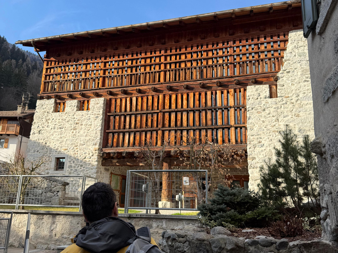 Palazzo Lodron Bertelli. Dimora Storica & Spa主图