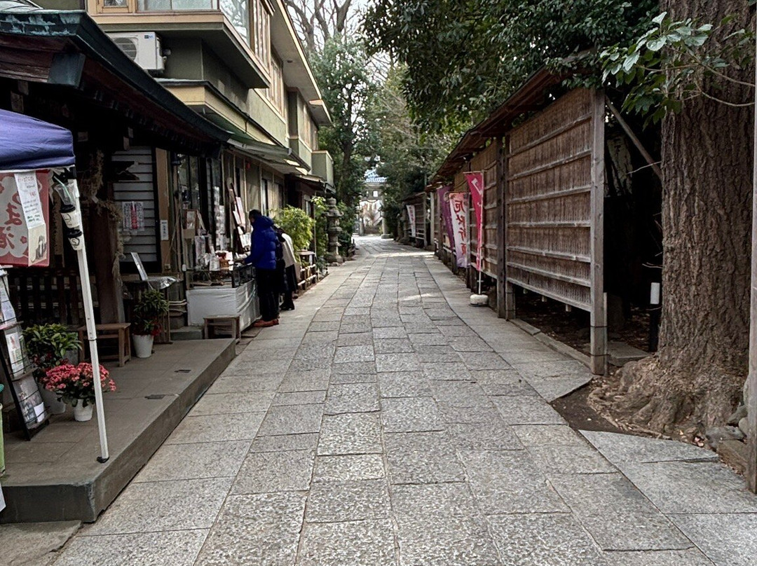 Togoshi Hachiman Shrine-品川区必去景点