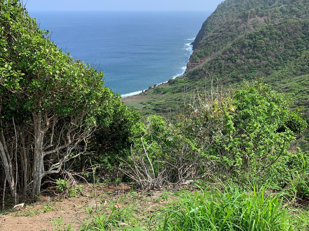 Halawa Falls-摩洛凯岛必去景点