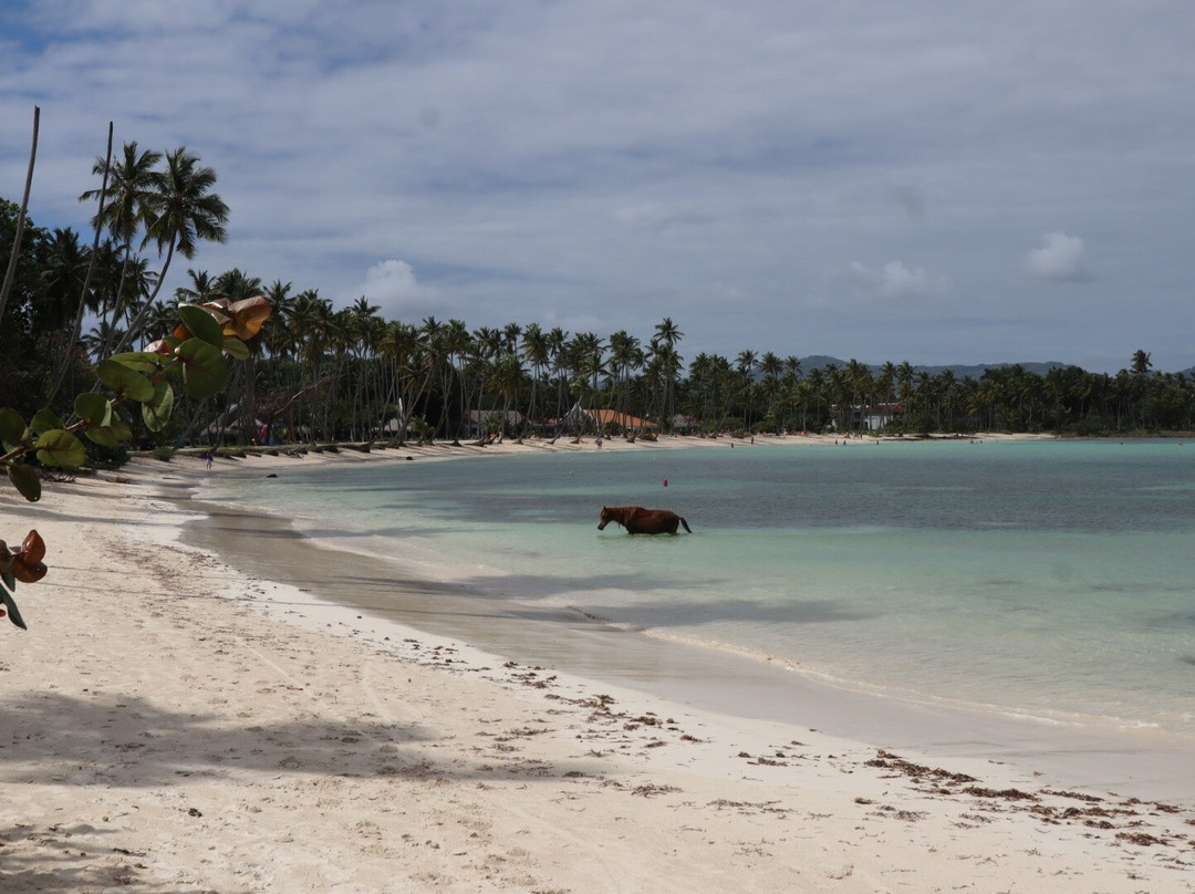 Hotel Labellaventura主图