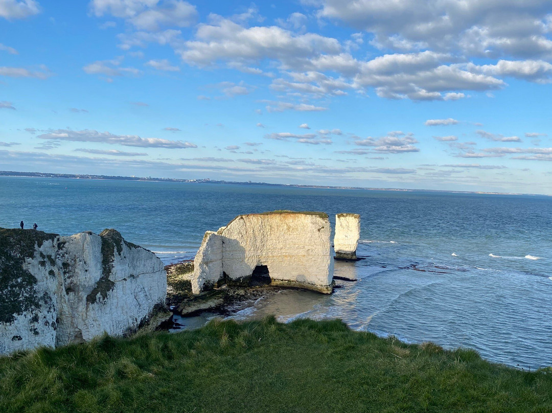 Old Harry Rocks景点图片