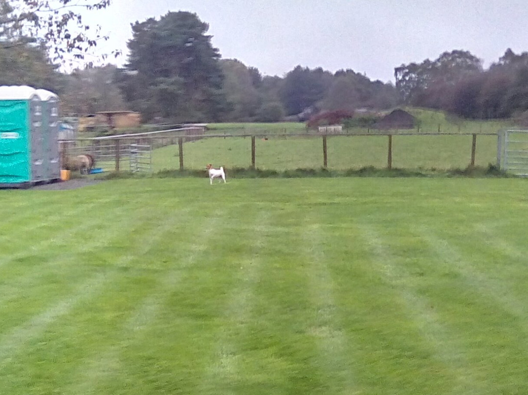 Forest View Caravan Park,  Cannock Chase-鲁奇利必去景点