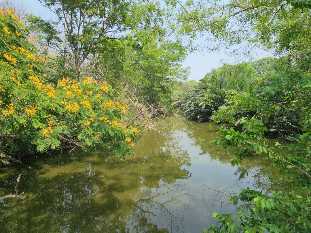 Bangkachao-帕巴登必去景点