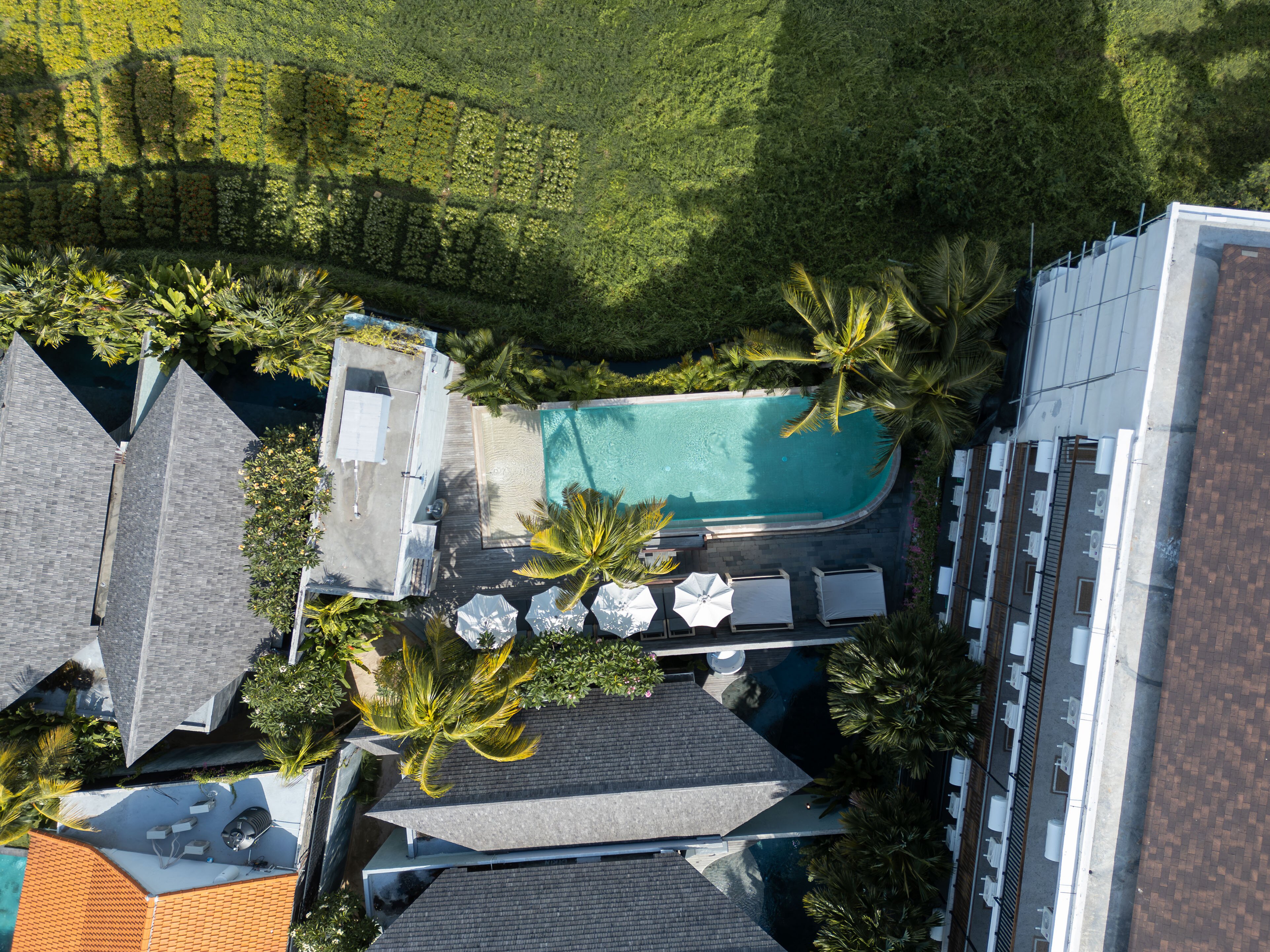 Astera Resort Canggu-泳池