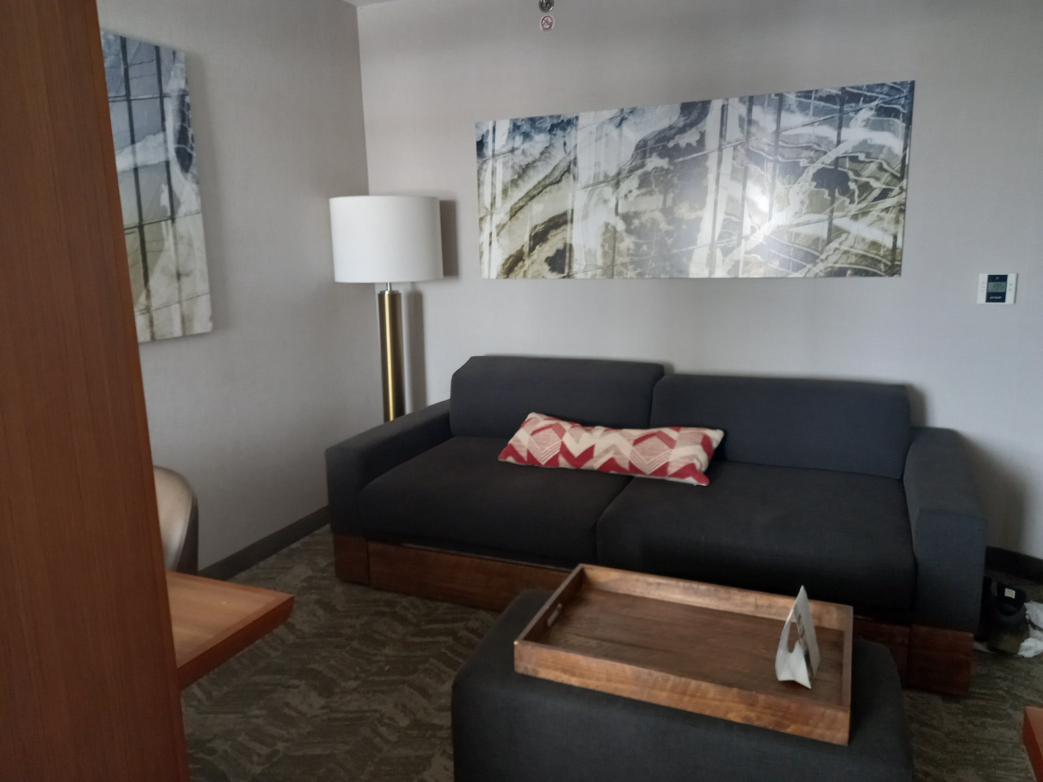 SpringHill Suites Kansas City Lenexa/City Center-客卧