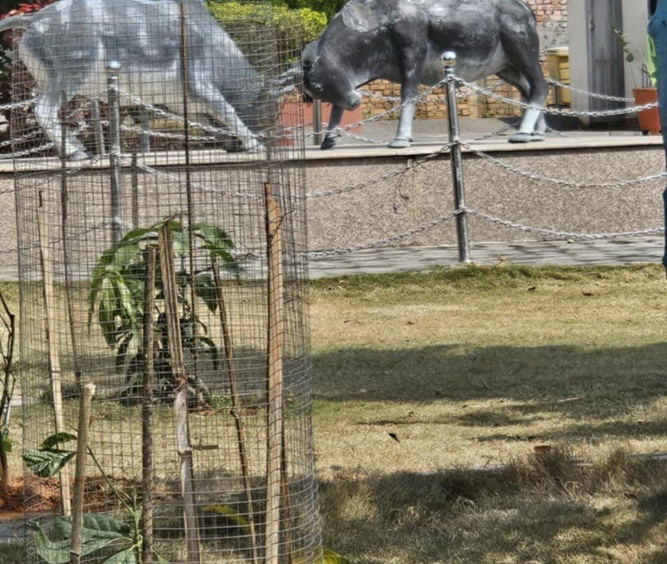 Siddhartha Hotel Water Tower主图