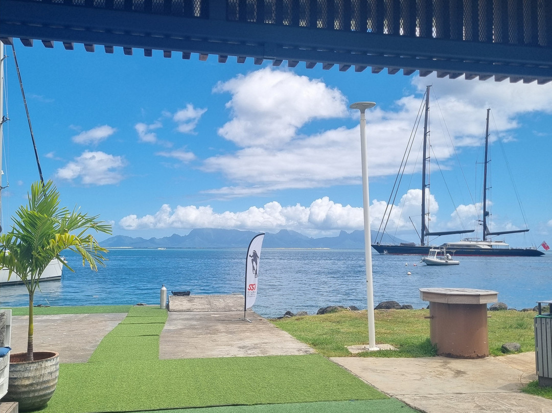 Dive and Sea Tahiti - Base nautique de Puna'auia景点图片
