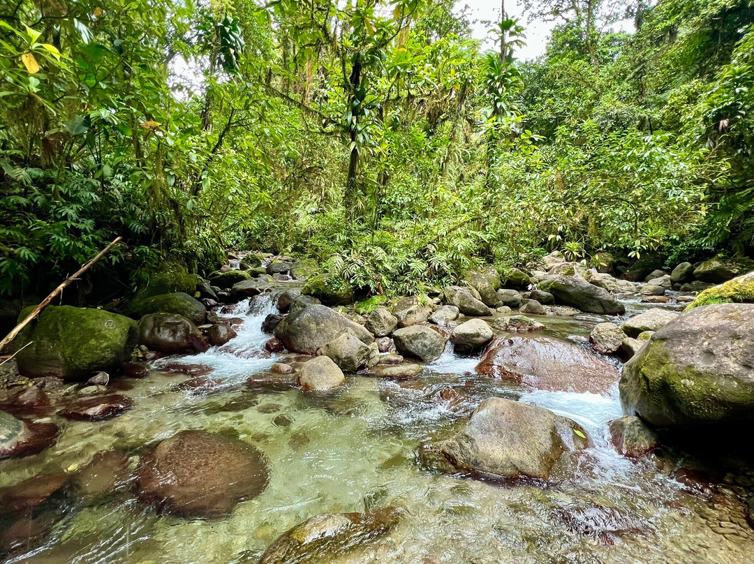 Randonnée de la Trace des Jésuites-Fonds Saint Denis必去景点