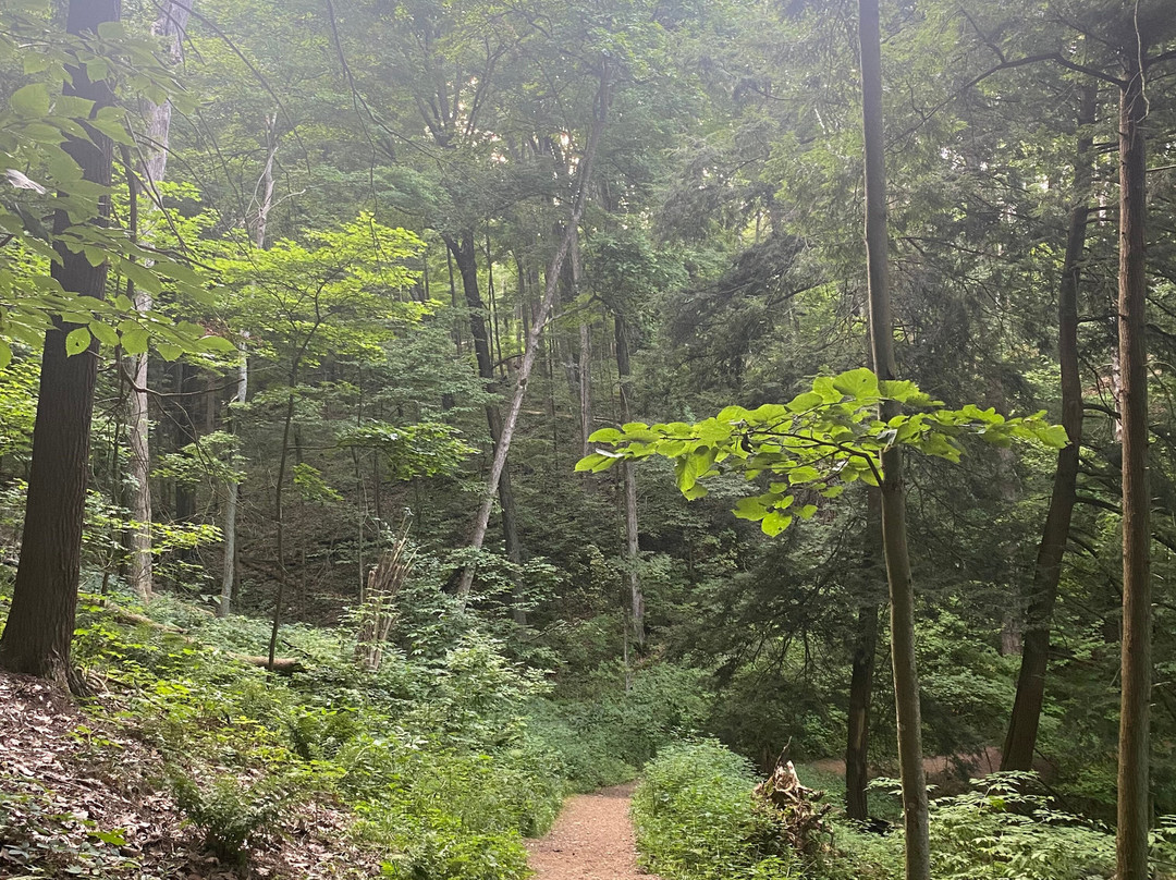 Mohican State Park-Loudonville必去景点
