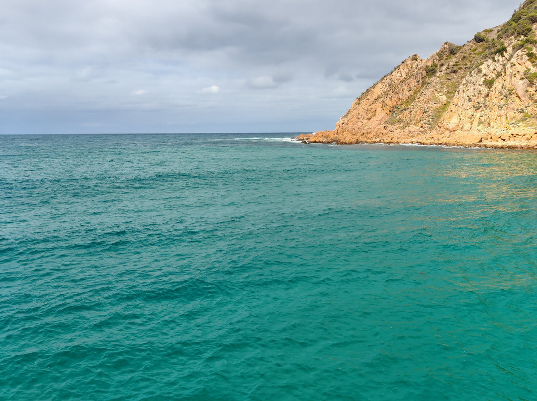 Ocean Adventures Phillip Island-圣雷莫必去景点