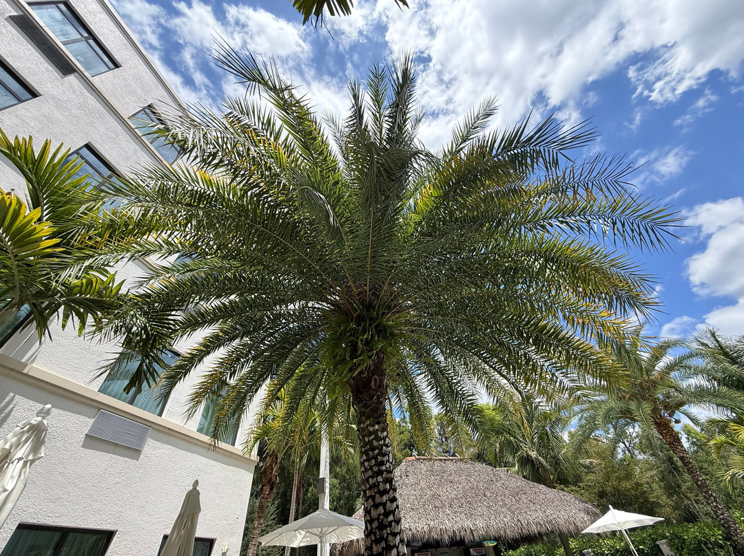 Staybridge Suites Naples - Marco Island by IHG