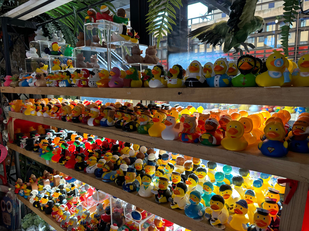 La Bottega del Regalo景点图片