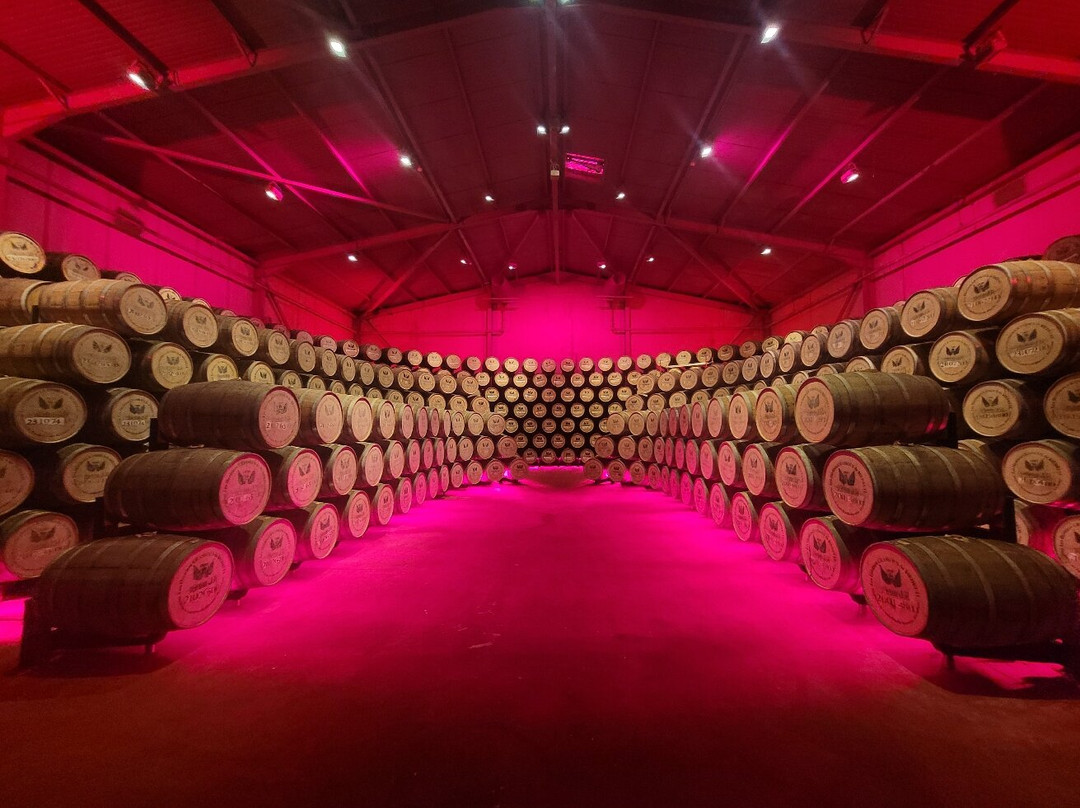 Distillerie J M-Macouba必去景点