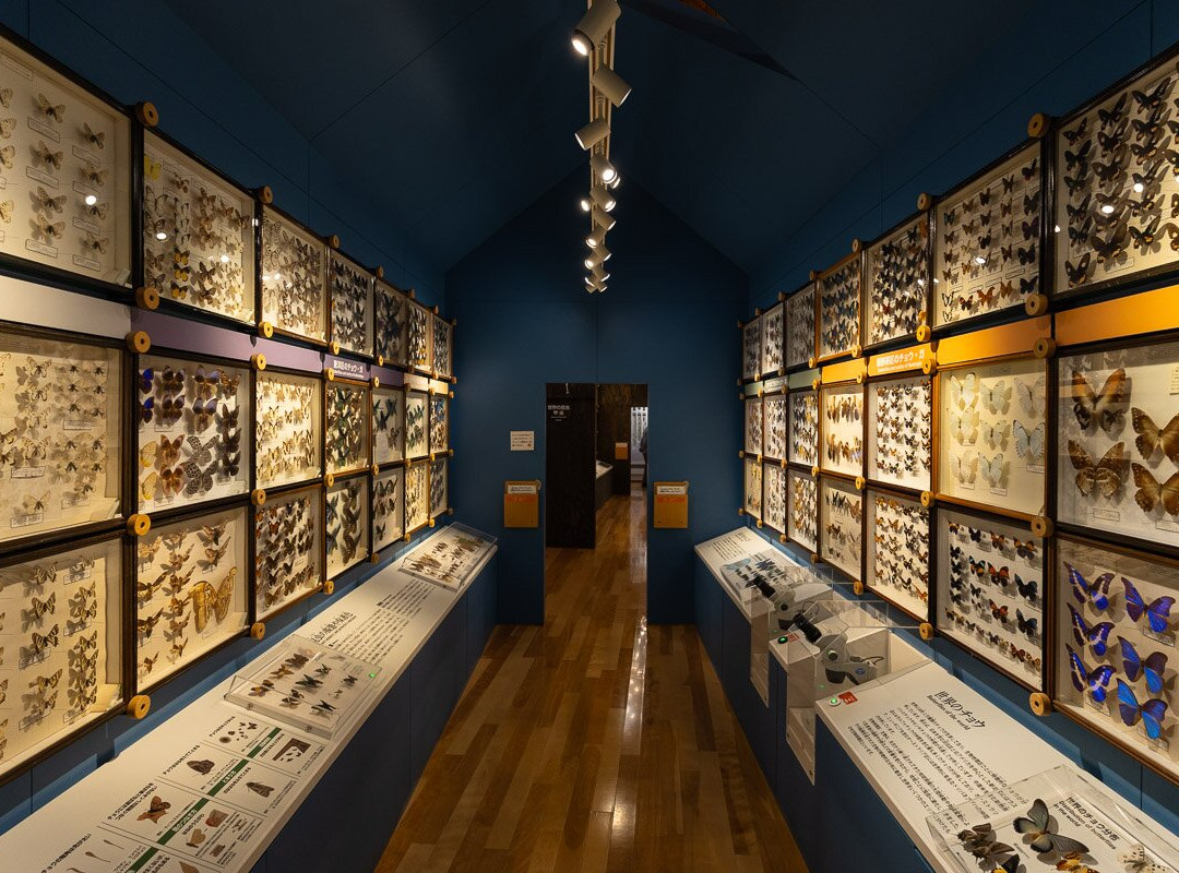 Higashi Taisetsu Nature Center-上士幌町必去景点