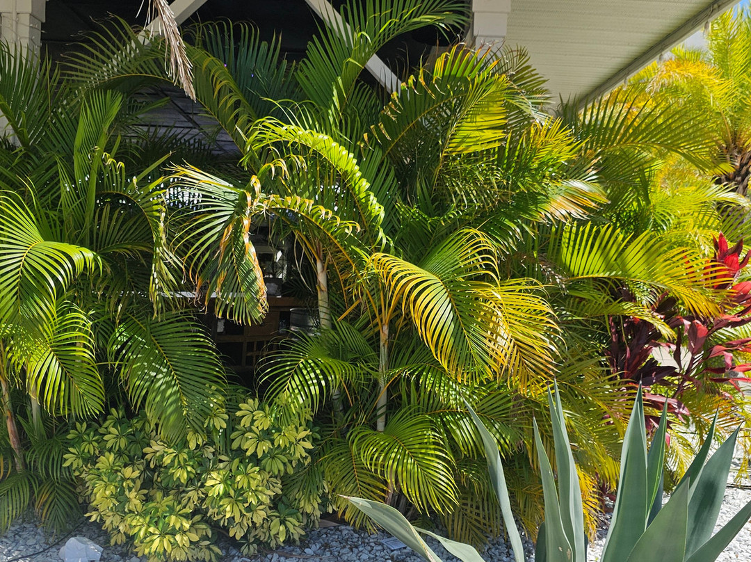 WoodSpring Suites Orlando North - Maitland主图