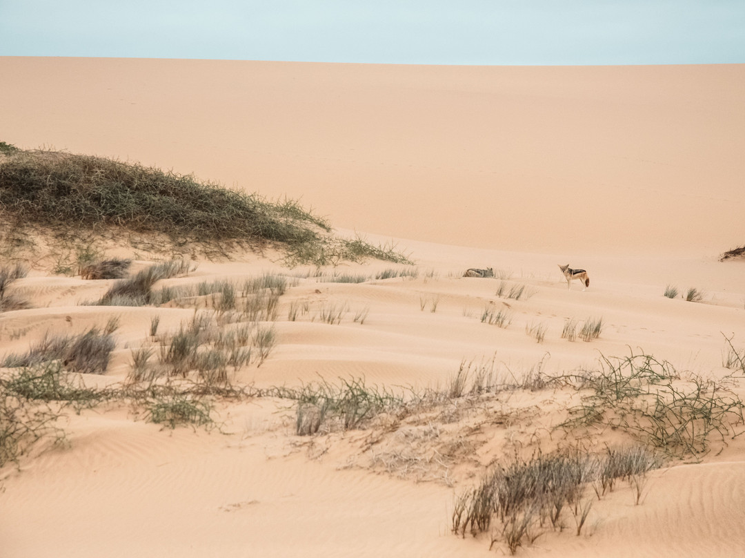 Travel Uncharted-华维斯湾必去景点