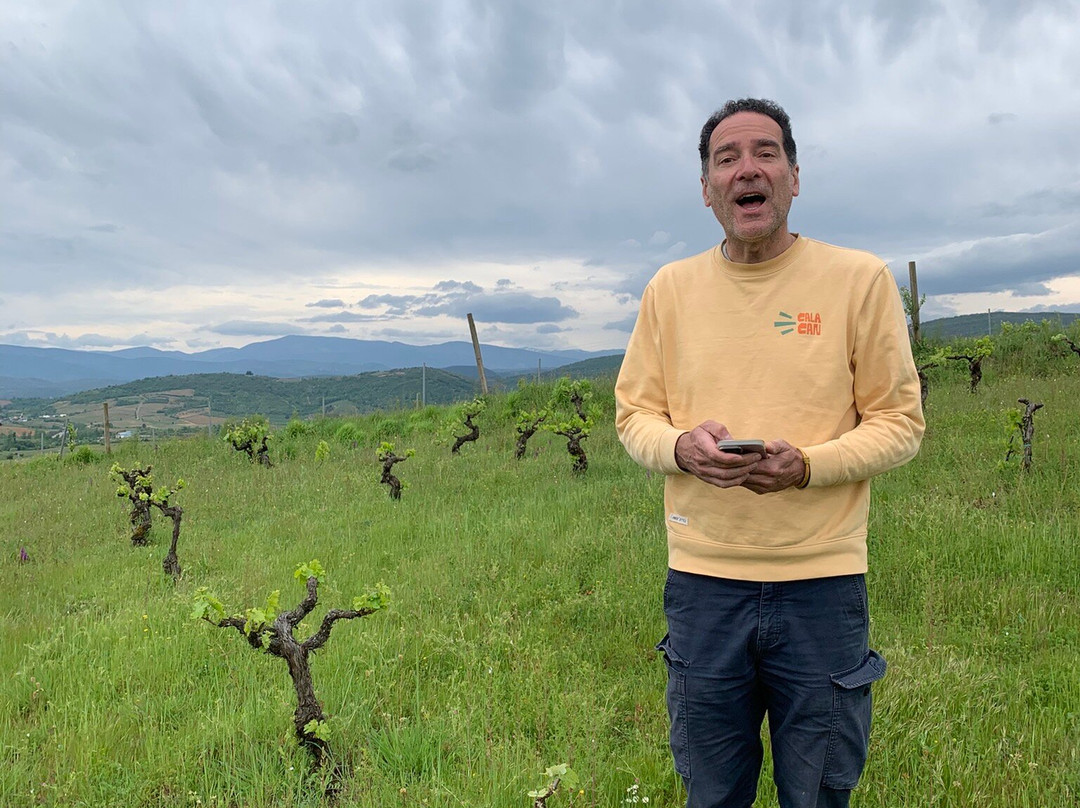 Demencia Wine-Villafranca del Bierzo必去景点