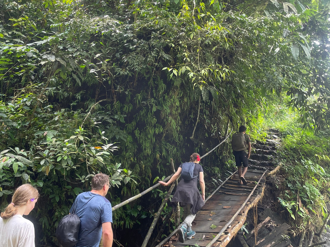 Back to Nature Ecotourism主图