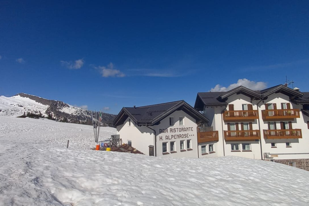 Hotel Alpenrose主图