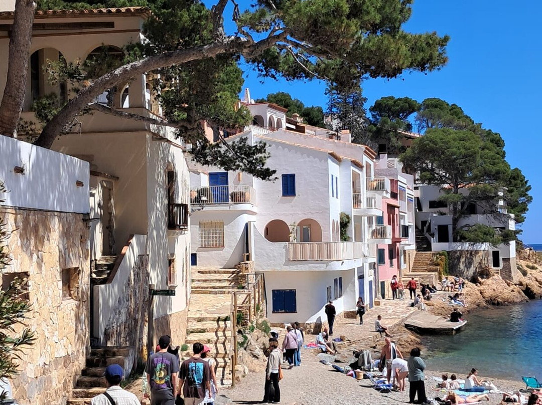 Plage de Sa Tuna景点图片
