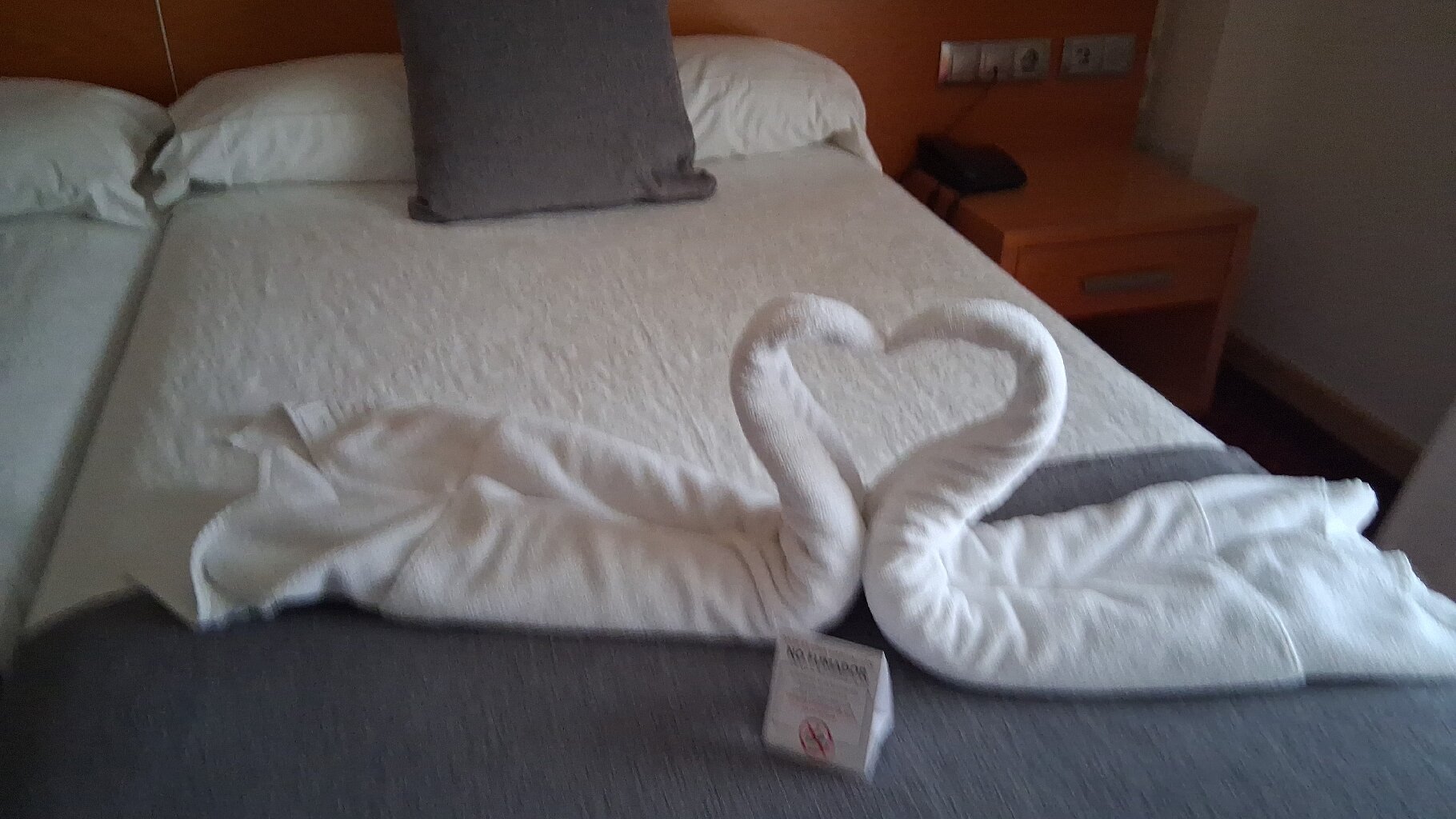 Hotel Peregrina-官方