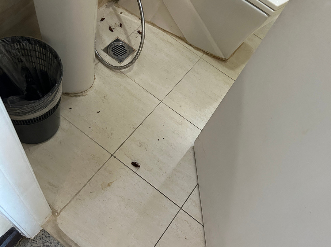 BSA双子塔酒店主图