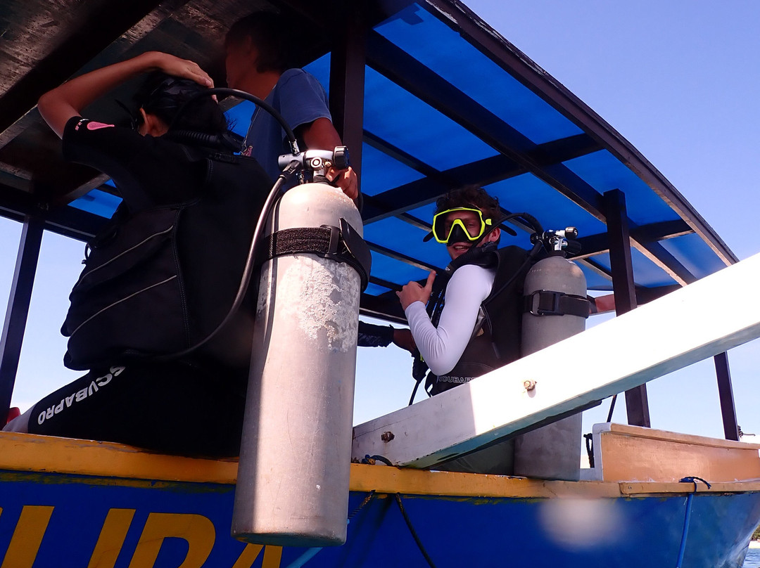 Gili Scuba Diving-吉利特拉万安必去景点