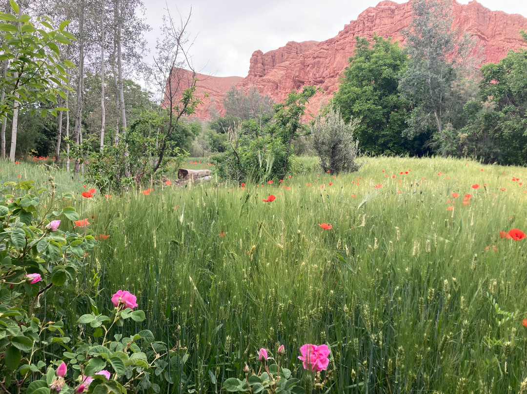 Zafrani-Taliouine必去景点