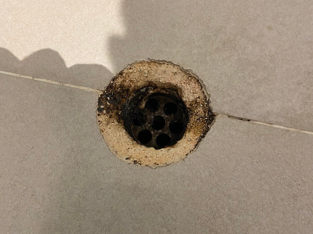 亚特兰蒂斯酒店主图