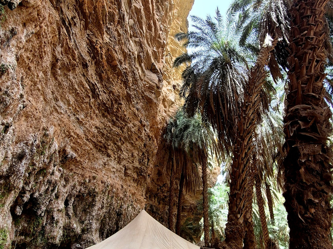 Terjit Oasis-Atar必去景点