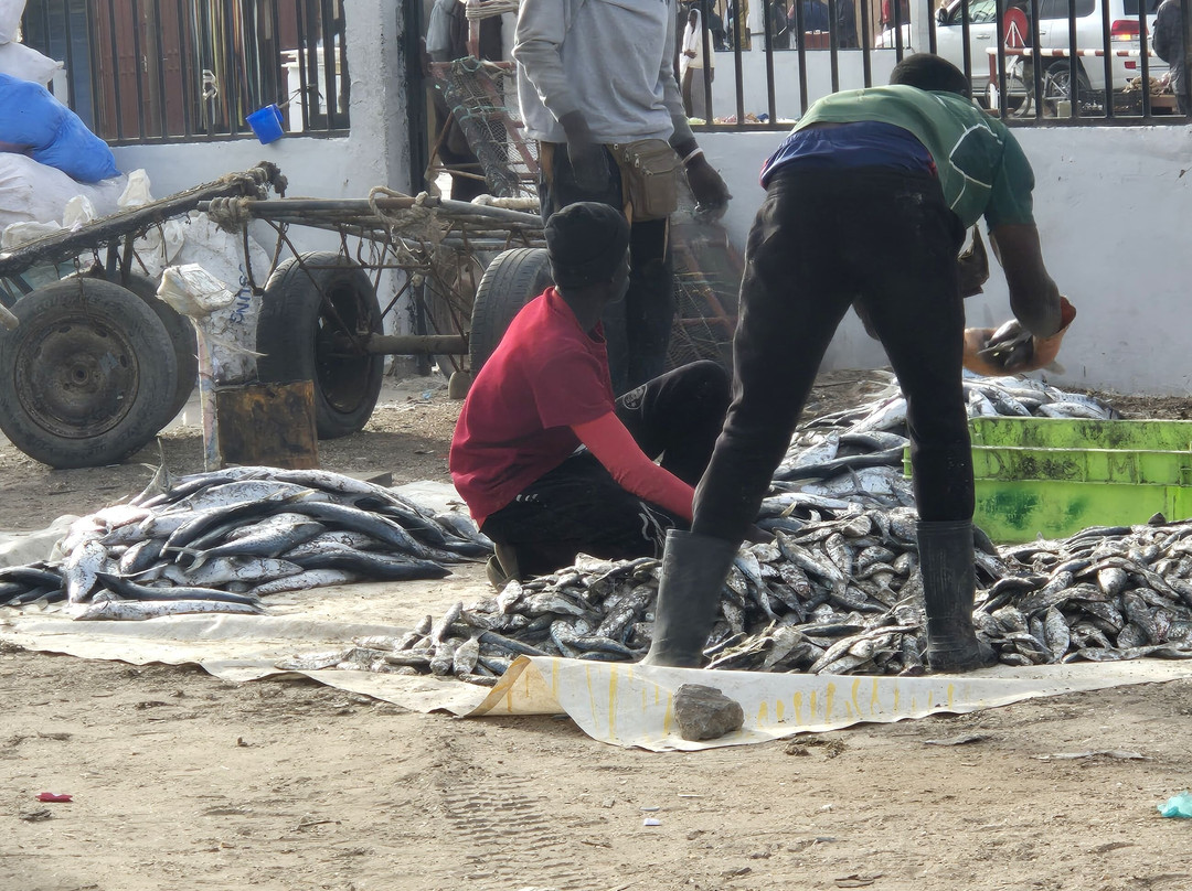 Port de Pêche-诺克少必去景点