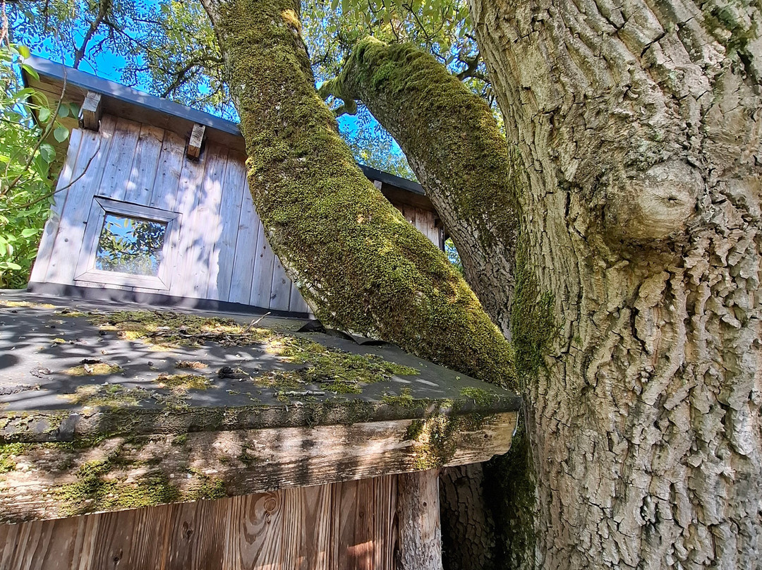 Hotel Du Vieux Moulin De Lisogne主图
