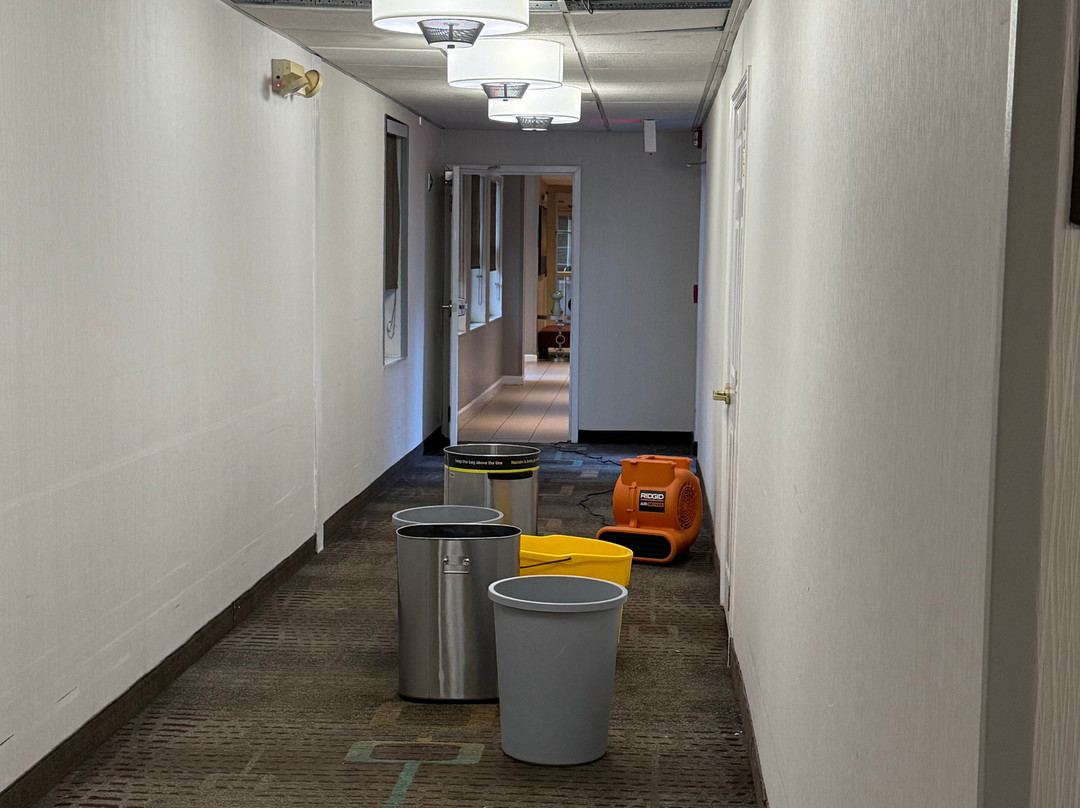 孟菲斯日耳曼敦原住客栈主图