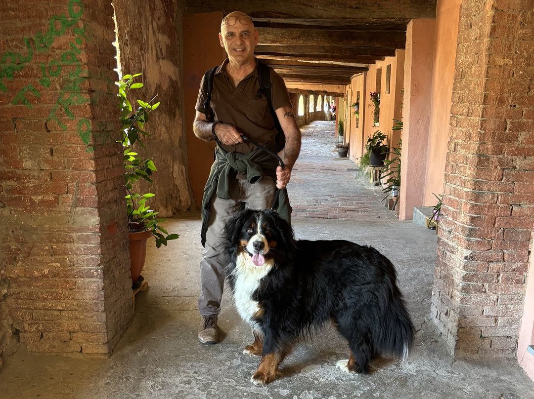 La Rocca Manfrediana景点图片