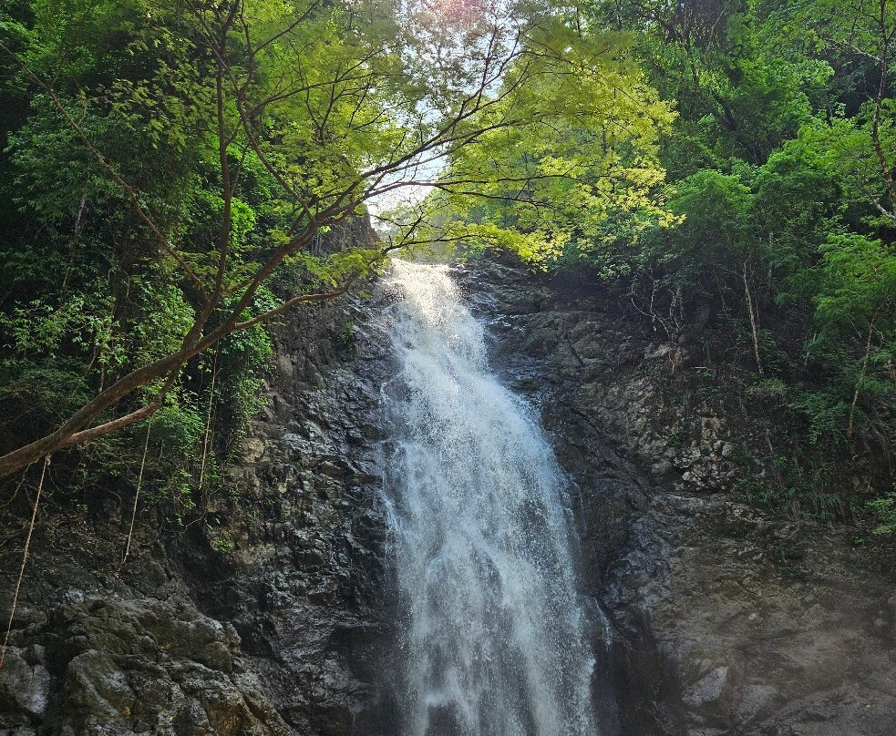 Hotel El Jardin主图