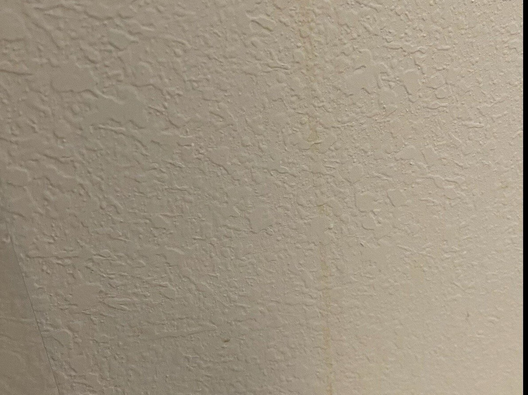 Microtel Inn & Suites by Wyndham Lynchburg主图