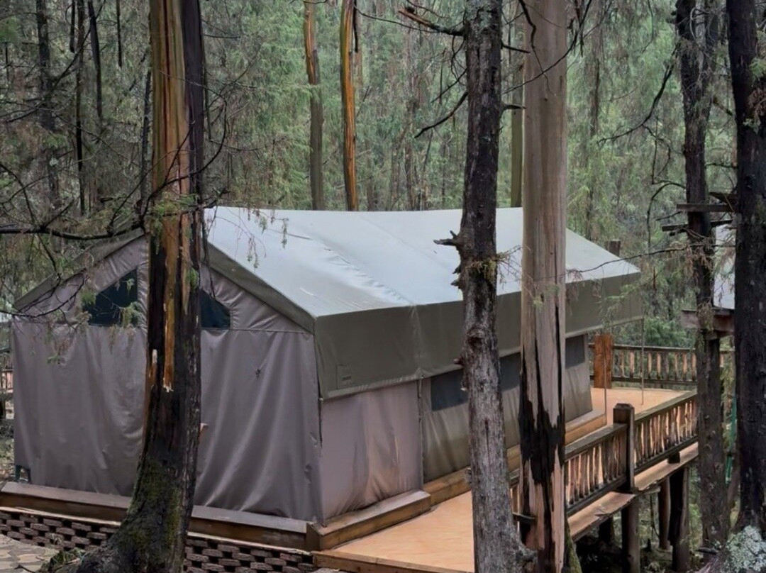 Kuriftu Entoto Adventure Park景点图片